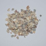 Oyster Shell Grit 2-5mm