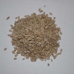 photo-5